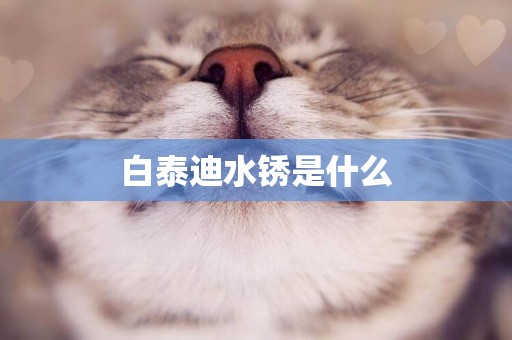 白泰迪水銹是什么