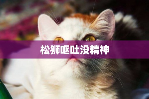 松獅嘔吐沒精神