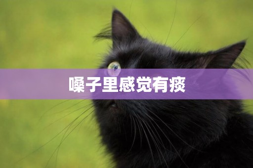 嗓子里感覺有痰