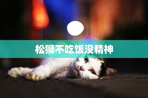 松獅不吃飯沒精神