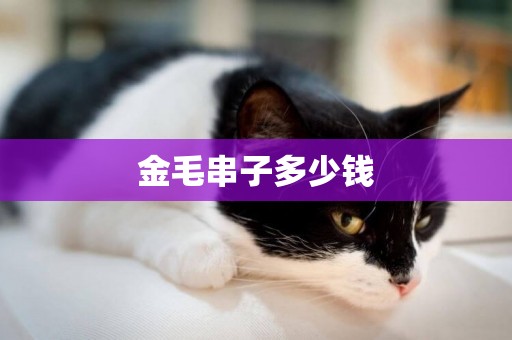 金毛串子多少錢