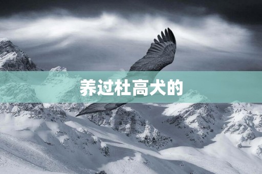 養過杜高犬的