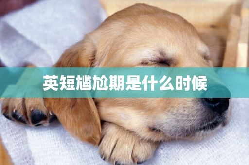 英短尷尬期是什么時候