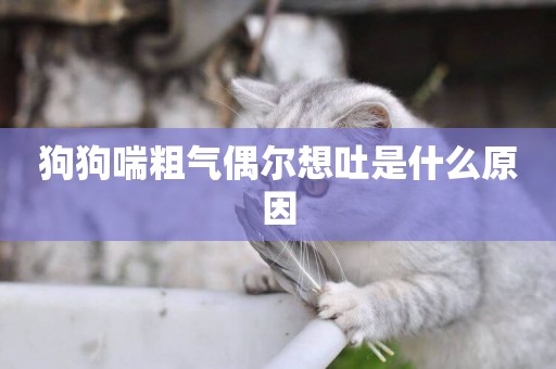 狗狗喘粗氣偶爾想吐是什么原因