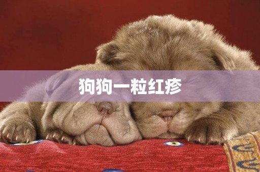 狗狗一粒紅疹