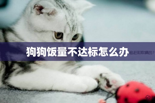狗狗飯量不達標怎么辦
