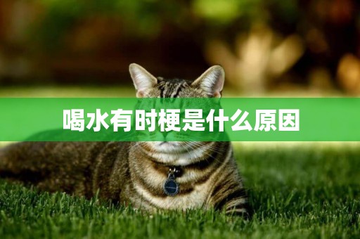 喝水有時梗是什么原因