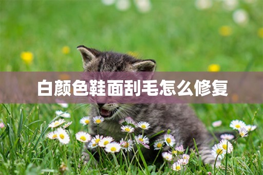 白顏色鞋面刮毛怎么修復