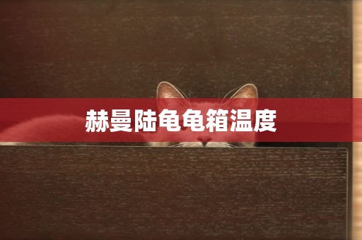 赫曼陸龜龜箱溫度