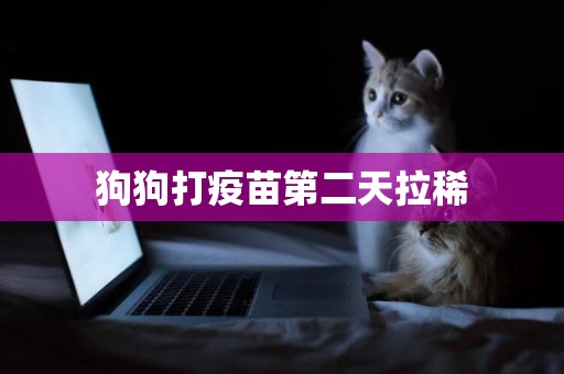 狗狗打疫苗第二天拉稀