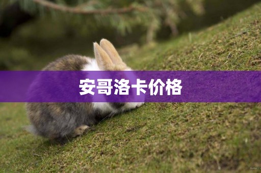 安哥洛卡價格