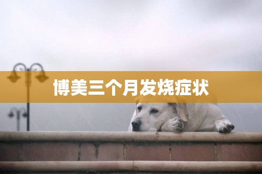 博美三個月發燒癥狀