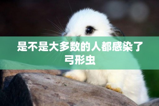 是不是大多數的人都感染了弓形蟲