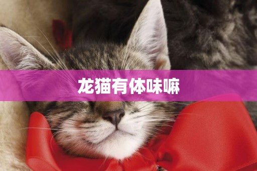 龍貓有體味嘛