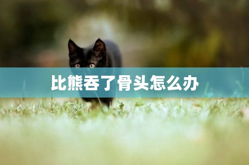比熊吞了骨頭怎么辦