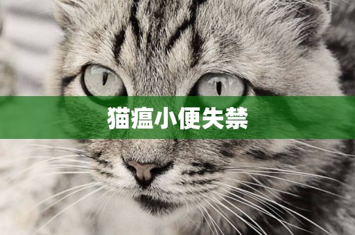 貓瘟小便失禁