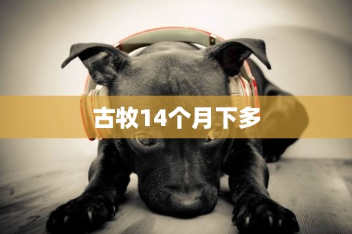 古牧14個月下多