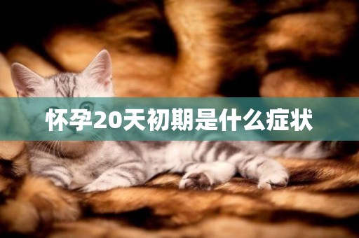 懷孕20天初期是什么癥狀