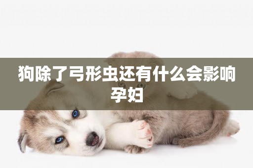狗除了弓形蟲還有什么會影響孕婦
