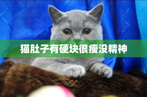 貓肚子有硬塊很瘦沒精神