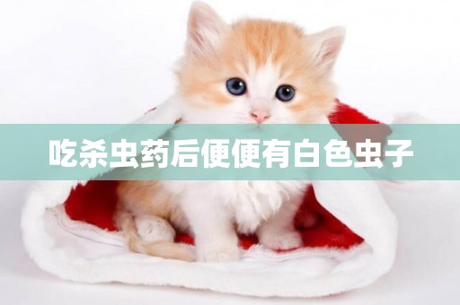 吃殺蟲藥后便便有白色蟲子