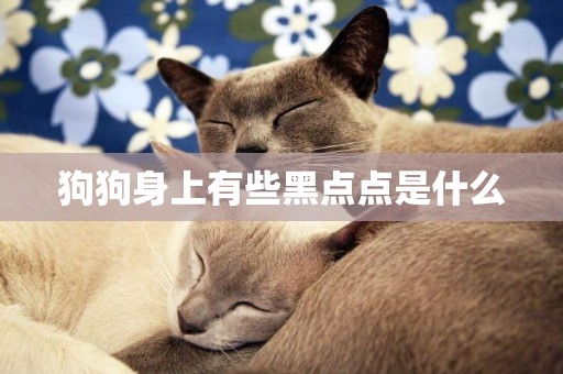 狗狗身上有些黑點點是什么