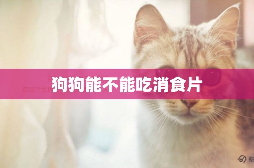 狗狗能不能吃消食片