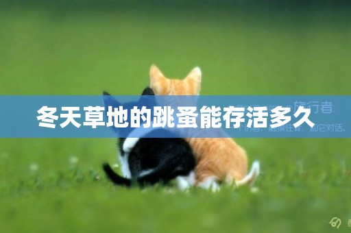 冬天草地的跳蚤能存活多久
