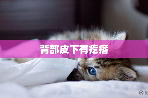 背部皮下有疙瘩
