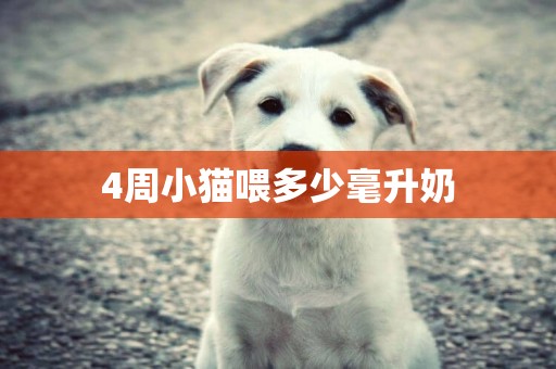 4周小貓喂多少毫升奶
