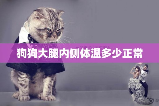 狗狗大腿內側體溫多少正常