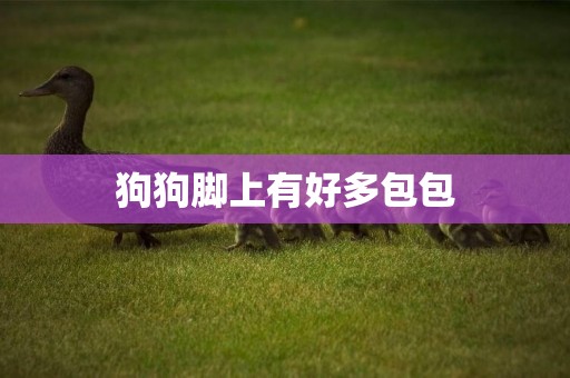 狗狗腳上有好多包包