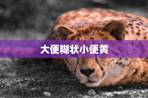 大便糊狀小便黃