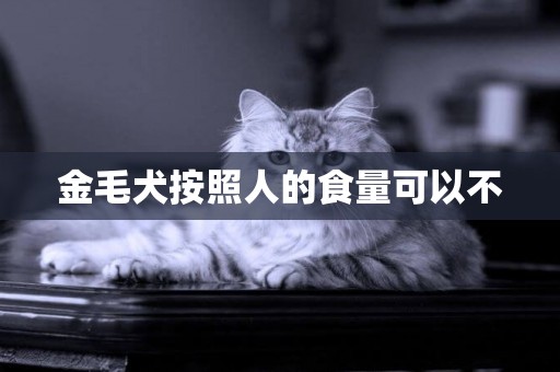 金毛犬按照人的食量可以不