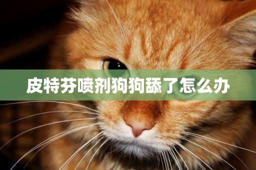皮特芬噴劑狗狗舔了怎么辦