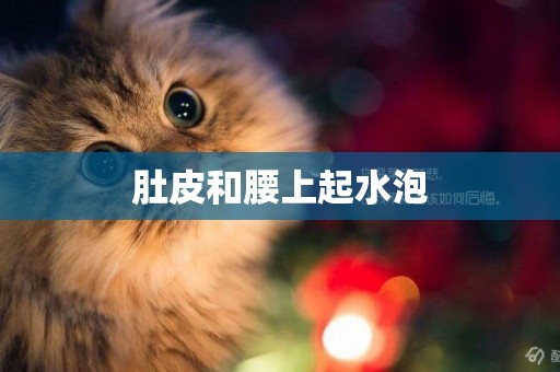 肚皮和腰上起水泡