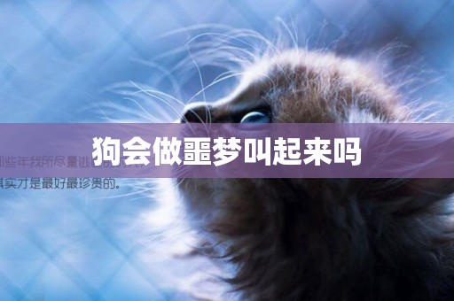 狗會做噩夢叫起來嗎