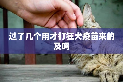 過了幾個用才打狂犬疫苗來的及嗎
