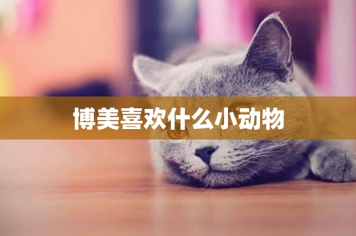 博美喜歡什么小動物