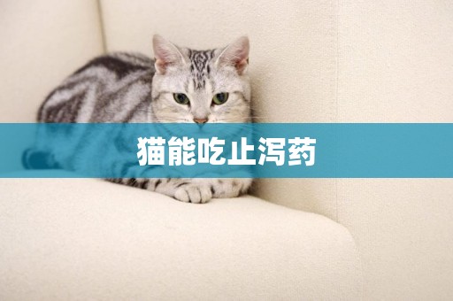 貓能吃止瀉藥