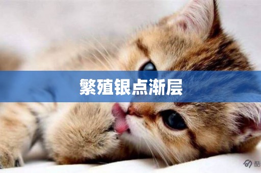 繁殖銀點漸層