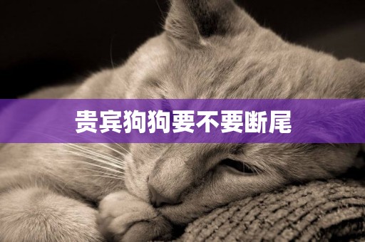 貴賓狗狗要不要斷尾