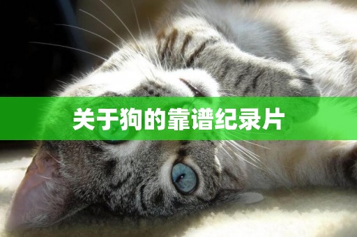關于狗的靠譜紀錄片