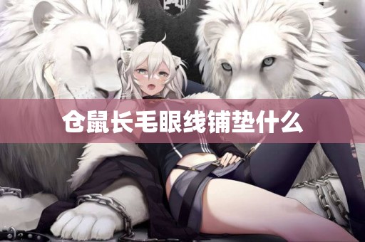 倉鼠長毛眼線鋪墊什么