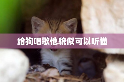 給狗唱歌他貌似可以聽懂