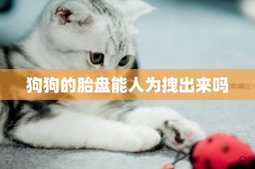狗狗的胎盤能人為拽出來嗎