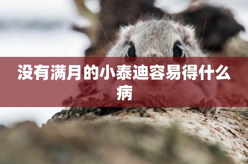 沒有滿月的小泰迪容易得什么病