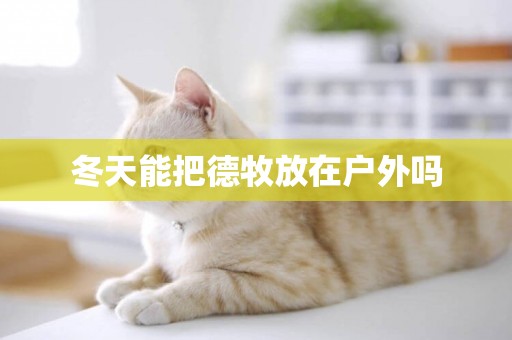 冬天能把德牧放在戶外嗎