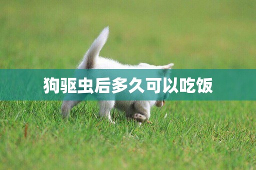 狗驅蟲后多久可以吃飯