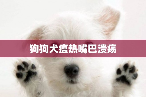 狗狗犬瘟熱嘴巴潰瘍
